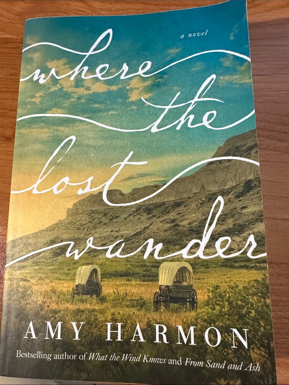 Where the Lost Wander by Amy Harmon - Teal & Gold Cover
